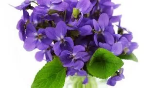 Blog "neblog" na den 25.5.2021