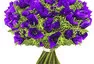 Viola odorata... :-))....