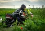 Honda CBR650R: Chladnokrevně efektivní
