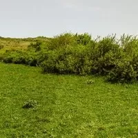 MG TF 160: Sněhem na východ a zpátky