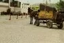 MG TF 160: Sněhem na východ a zpátky 