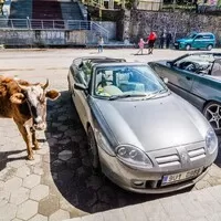 MG TF 160: Sněhem na východ a zpátky