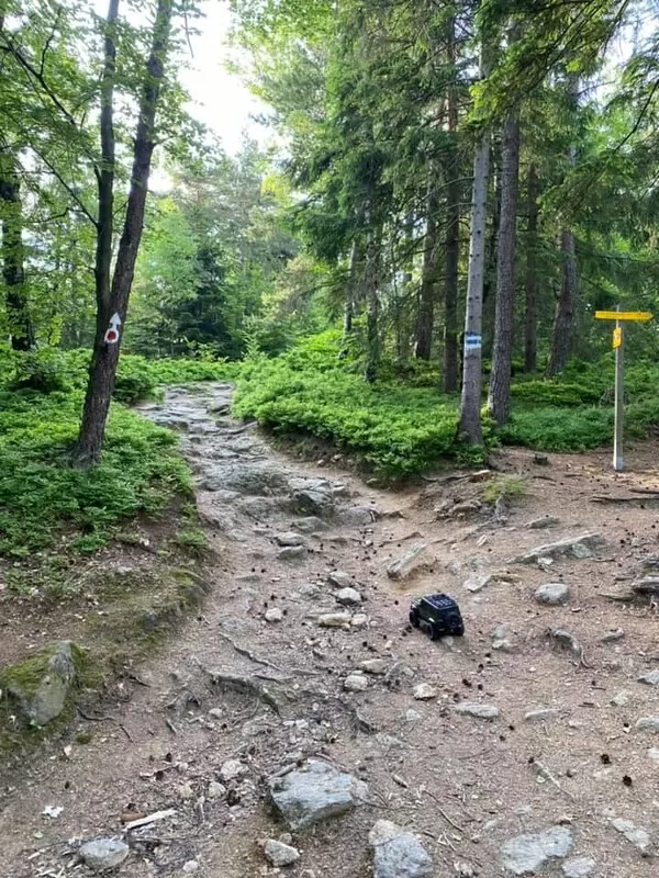 Obrázek v komentáři