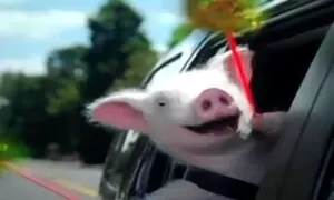 Nepřátel se nelekejte a na množství nehled´te!