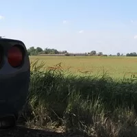 Jak se jednou svezete v Corvette, navždycky se zamilujete