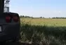 Jak se jednou svezete v Corvette, navždycky se zamilujete