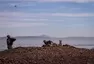 Jak se jednou svezete v Corvette, navždycky se zamilujete