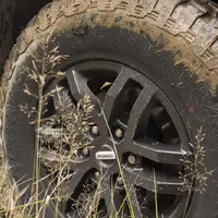 Proč je Ford Ranger Raptor petrolheadův sen...