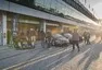 9H LeBrno 2021- má první závodní zkušenost