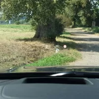 Volvo V90 Cross Country B5: Tohle je ideál