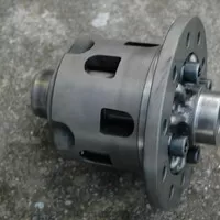 Torsen type LSD