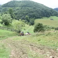 Gumbalkan 2021 aneb Bedna 2.0 v akci - part 6