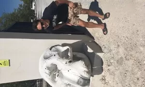 Cestování po Namibii... bonbónem EcoSportem