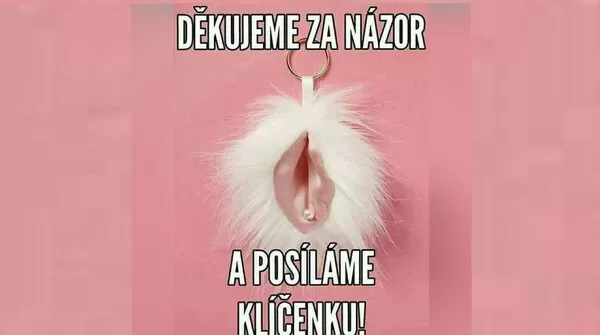 Obrázek v komentáři