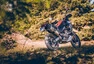 Aprilia Tuareg 660: Volání divočiny, po italsku