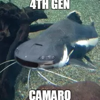 Foto: Internet