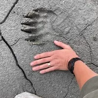 Na Eibenthal! aneb Autíčkářovy chaotické zápisky z Gumbalkánu