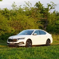 Škoda Octavia iV: Auto, které dává smysl