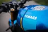 Yamaha XSR900: Vlk v rouše beránčím