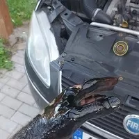 Autíčkář se ptá: Proč si děláte na autě servis sami?