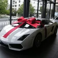 zdroj: starrluxurycars.com