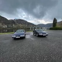 Prodat či neprodat...