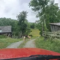 Do Transylvánie a možná i dál - Gumbalkan 2022 - part 6