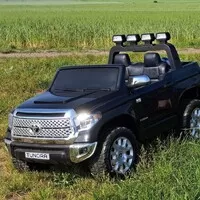Levný elektromobil který potěší celou rodinu existuje. Jen není moc velký.