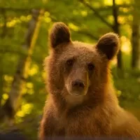 Do Transylvánie a možná i dál - Gumbalkan 2022 - part 9