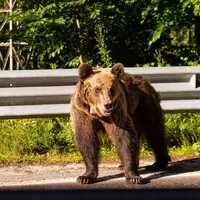 Do Transylvánie a možná i dál - Gumbalkan 2022 - part 9