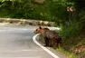 Do Transylvánie a možná i dál - Gumbalkan 2022 - part 9