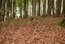 Balkánská tour po čtvrté - aneb Gumbalkan 2023 - part 2