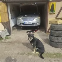 Po pěti letech s Japonským kombi od Hondy