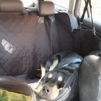Po pěti letech s Japonským kombi od Hondy