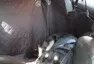 Po pěti letech s Japonským kombi od Hondy
