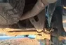 Ford Ranger Raptor: Všehoschopný závoďák
