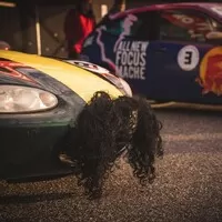 Jak jsme nevyhráli Gumbalkan GrandPrix 2022