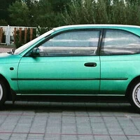 Japonskej Favorit 2/3