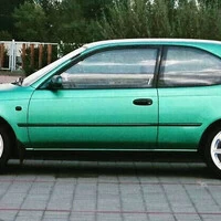 Japonskej Favorit 2/3