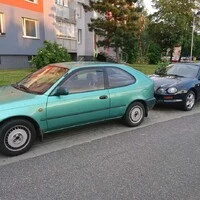 Japonskej Favorit 2/3