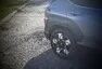 Hyundai Kona 1,6 T-GDI: Premiant s jednou chybou