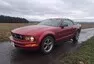 Ford Mustang s197 4,0 V6: Údržba a provoz