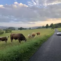 Chaotické výpisky ze života automobilového děvkaře