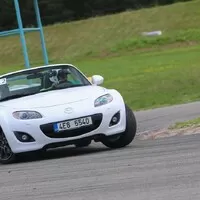 Chaotické výpisky ze života automobilového děvkaře