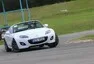 Chaotické výpisky ze života automobilového děvkaře