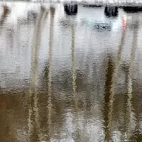 Foto: Petuli