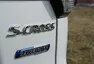 Suzuki S-Cross Premium AllGrip: Cestou necestou
