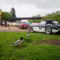 Ručičkové stopky, řev motorů a štěstí i se zmrzlýma nohama. Poprvé na setinové rallye 7 Castles Trial