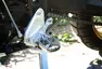 Yamaha Ténéré 700 Extreme: Vás doveze až na konec světa