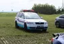 Report KaK Brno vol. 45: Pohoda v přírodě u Masarykova okruhu